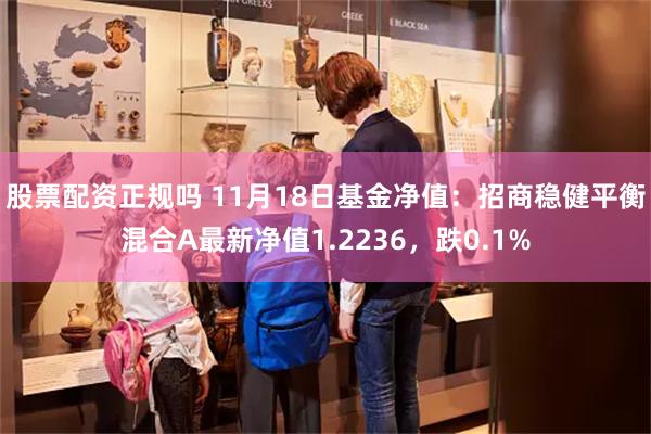 股票配资正规吗 11月18日基金净值：招商稳健平衡混合A最新净值1.2236，跌0.1%