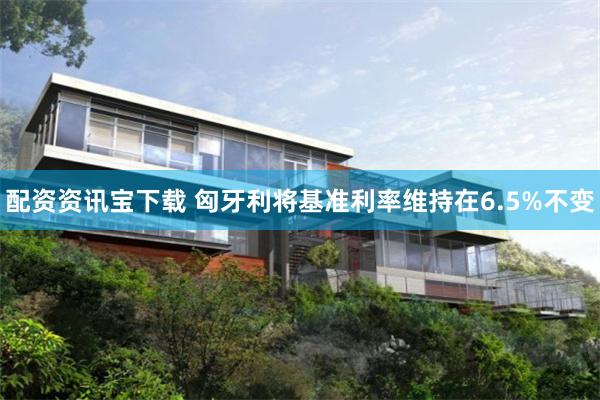 配资资讯宝下载 匈牙利将基准利率维持在6.5%不变