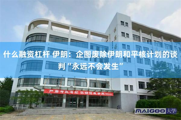 什么融资杠杆 伊朗：企图废除伊朗和平核计划的谈判“永远不会发生”