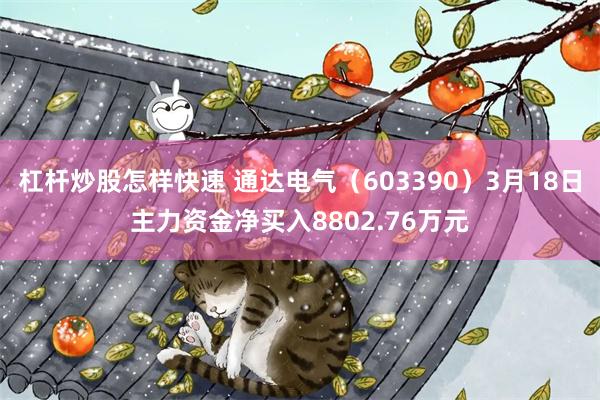 杠杆炒股怎样快速 通达电气（603390）3月18日主力资金净买入8802.76万元