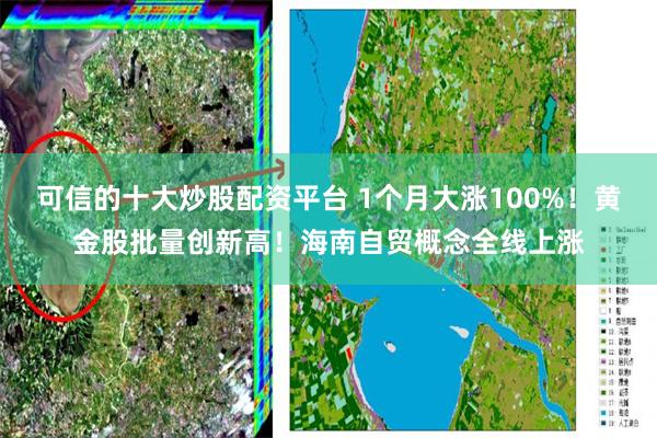 可信的十大炒股配资平台 1个月大涨100%！黄金股批量创新高！海南自贸概念全线上涨