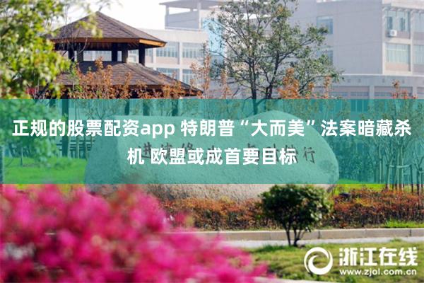 正规的股票配资app 特朗普“大而美”法案暗藏杀机 欧盟或成首要目标