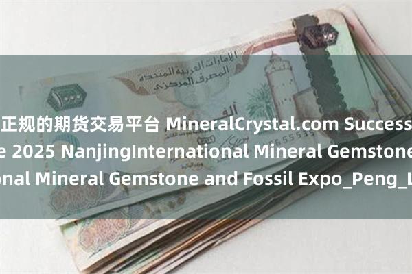 最正规的期货交易平台 MineralCrystal.com Successfully Exhibits at the 2025 NanjingInternational Mineral Gemstone and Fossil Expo_Peng_Ltd