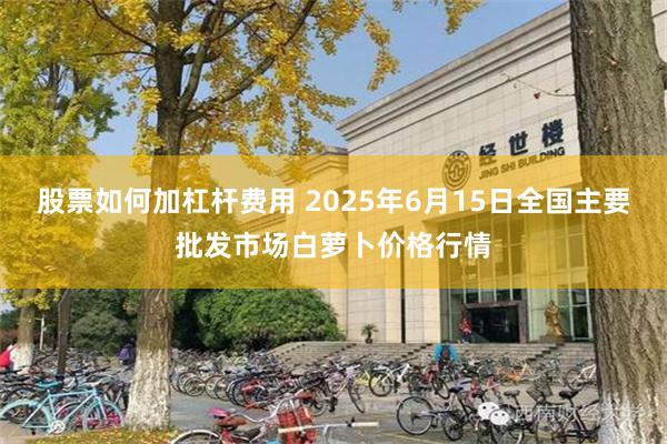 股票如何加杠杆费用 2025年6月15日全国主要批发市场白萝卜价格行情