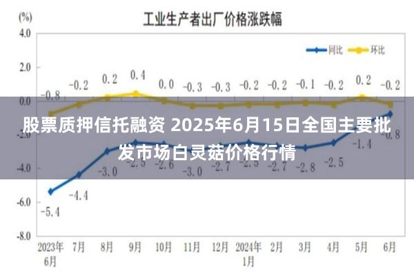 股票质押信托融资 2025年6月15日全国主要批发市场白灵菇价格行情