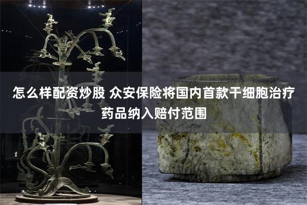 怎么样配资炒股 众安保险将国内首款干细胞治疗药品纳入赔付范围
