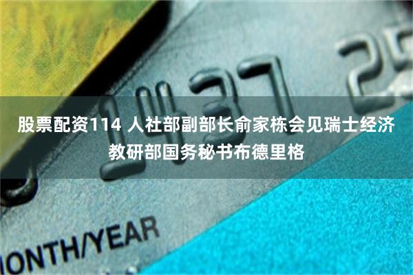 股票配资114 人社部副部长俞家栋会见瑞士经济教研部国务秘书布德里格