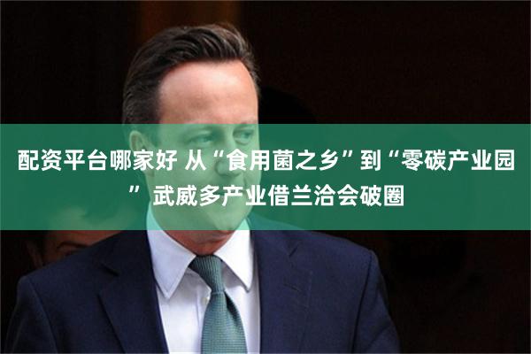 配资平台哪家好 从“食用菌之乡”到“零碳产业园” 武威多产业借兰洽会破圈