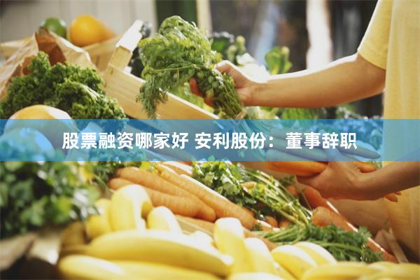 股票融资哪家好 安利股份：董事辞职