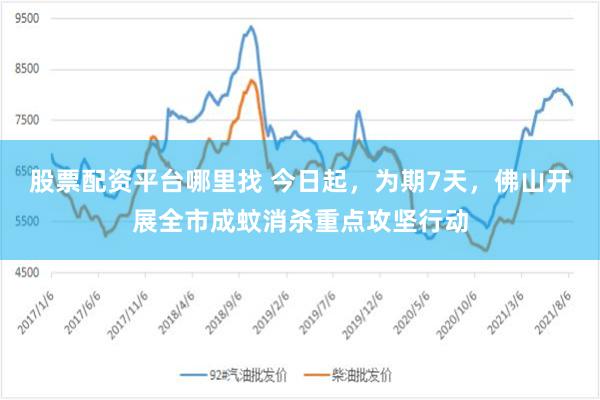 股票配资平台哪里找 今日起，为期7天，佛山开展全市成蚊消杀重点攻坚行动
