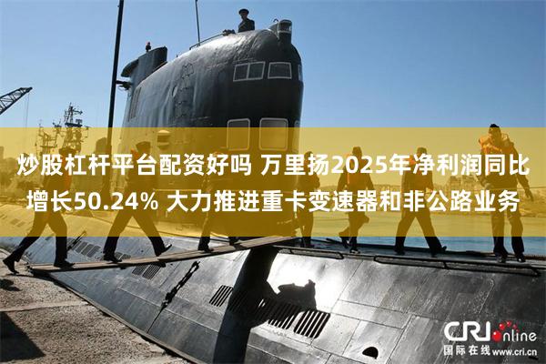 炒股杠杆平台配资好吗 万里扬2025年净利润同比增长50.24% 大力推进重卡变速器和非公路业务