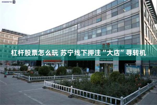 杠杆股票怎么玩 苏宁线下押注“大店”寻转机