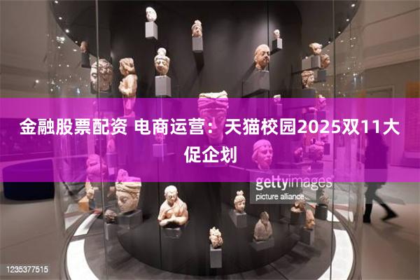 金融股票配资 电商运营：天猫校园2025双11大促企划
