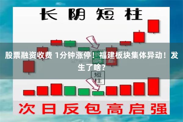 股票融资收费 1分钟涨停！福建板块集体异动！发生了啥？