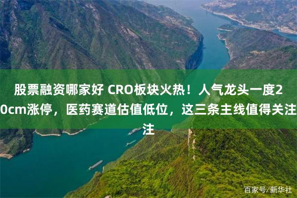 股票融资哪家好 CRO板块火热！人气龙头一度20cm涨停，医药赛道估值低位，这三条主线值得关注