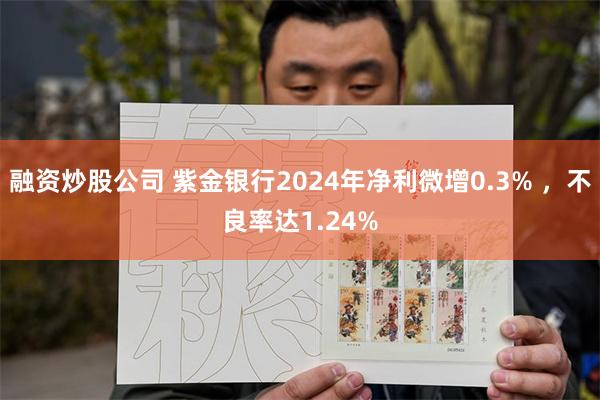 融资炒股公司 紫金银行2024年净利微增0.3% ，不良率达1.24%