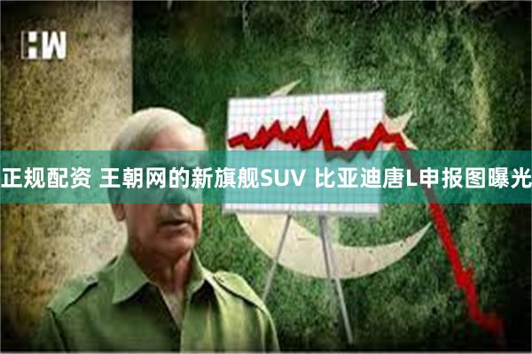 正规配资 王朝网的新旗舰SUV 比亚迪唐L申报图曝光